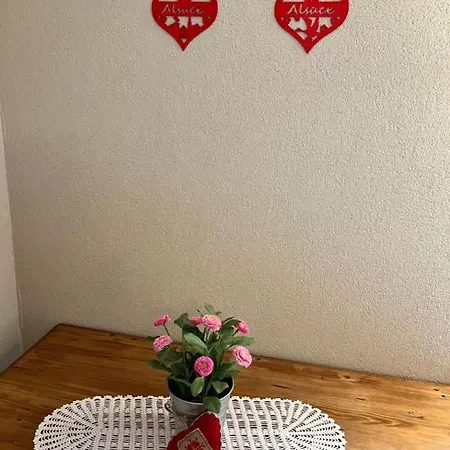 Geranium*** Eguisheim
