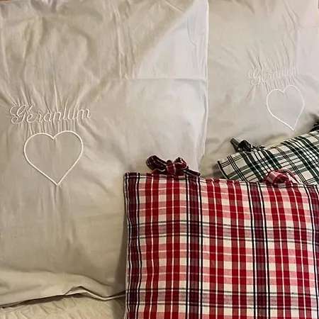 Géranium*** * Eguisheim