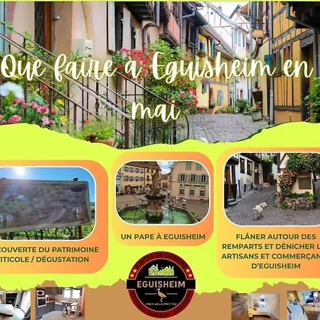 Géranium*** * Eguisheim