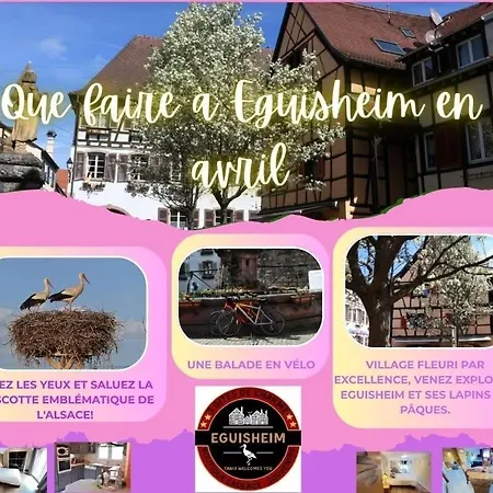 Appartamento Géranium***